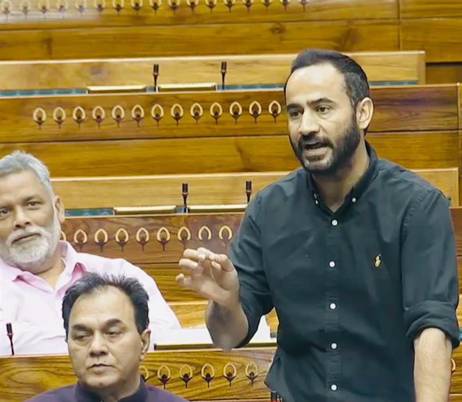 मीत हेयर ने संसद में आढ़तियों के कमीशन और पंजाब के लिए स्पैशलें बढ़ाने का मुद्दा उठाया