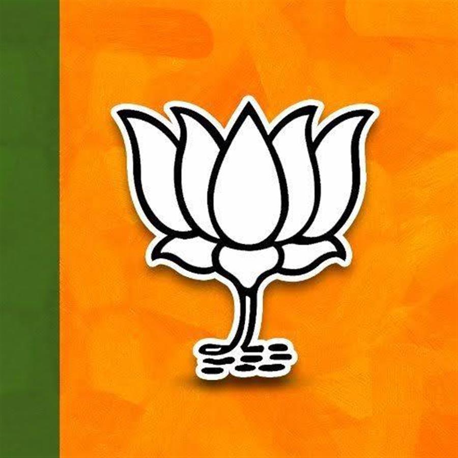 भाजपा की जिला कार्यकारिणी के बाद प्रदेश में शनिवार से मंडल कार्यकारिणी की बैठकें शुरू