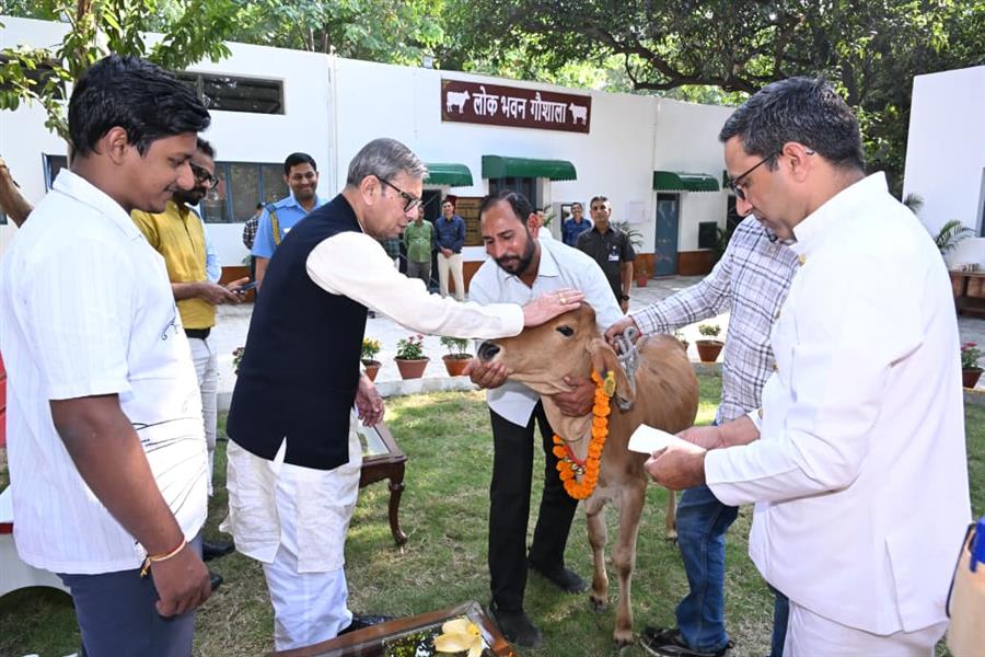 हरियाणा के राज्यपाल ने हरियाणा लोक भवन में भव्य गौशाला का किया उद्घाटन