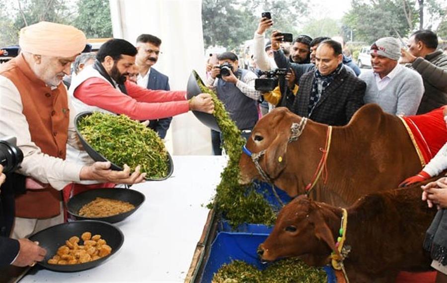 ਮੁੱਖ ਮੰਤਰੀ ਨਾਇਬ ਸਿੰਘ ਸੈਣੀ ਨੇ  ਗਾਂ ਸੇਵਾ ਸਨਮਾਨ ਸਮਾਰੋਹ ਵਿਚ ਕੀਤੀ ਸ਼ਿਰਕਤ
