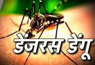  डेंगू के 15 नए मामले आए
