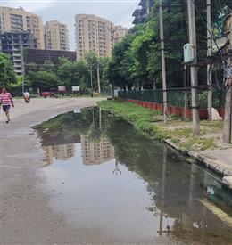 मेयर से गुजारिश है कि वो सेक्टर-20 के 3 गंदे प्वाइंट से सेक्टरवासियों का पीछा छुड़ाने का काम करे- ओपी सिहाग