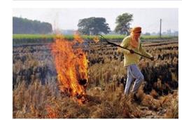 पराली जलाने से रोकने में कोताही पर अधिकारियों पर कार्रवाई कर सकेंगे डीसी