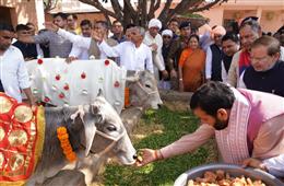 मुख्यमंत्री ने प्रदेश की 602 पंजीकृत गौशालाओं के लिए 68 करोड़ 34 लाख रुपये की अनुदान राशि की जारी