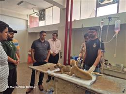 एसपीसीए में पशु कल्याण पर सख्ती: आयुक्त ने व्यवस्थाओं की ली विस्तृत समीक्षा