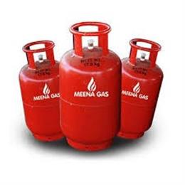 पाइप्ड नेचुरल गैस (PNG) नेटवर्क का विस्तार एवं LPG से PNG में परिवर्तन हेतु परामर्श