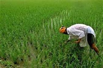   हरियाणा सरकार द्वारा किसानों को दिया जा रहा हैं फसल अवशेषों के प्रबन्धन हेतु कृषि यंत्रों पर अनुदान