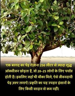 विश्व धरोहर दिवस के अवसर पर एक खास प्रस्तुति 