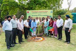 विश्व पर्यावरण दिवस पर राज्यपाल कटारिया ने किया वृक्षारोपण