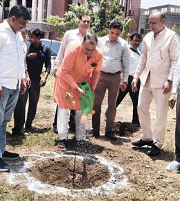 शिक्षा बोर्ड में पौधारोपण कर मनाया विश्व पर्यावरण दिवस-बोर्ड अध्यक्ष