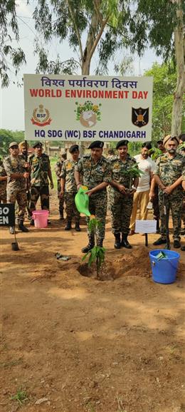 विश्व पर्यावरण दिवस पर बीएसएफ पश्चिमी कमान द्वारा मेगा वृक्षारोपण अभियान आयोजित