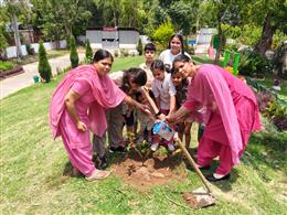 यूटी चंडीगढ़ के 450 आंगनवाड़ी केन्द्रों में विश्व पर्यावरण दिवस 2026 उत्साहपूर्वक मनाया गया