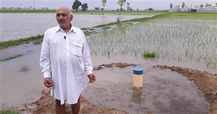 कोरोना काल में हरियाणा के किसान स्टोर कर रहें हैं गेहूं लोगो के लिए बढ़ सकता है संकट 