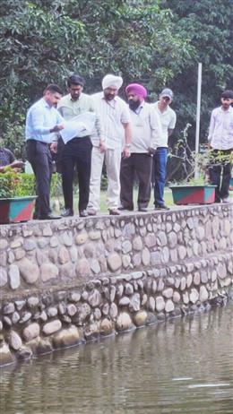 वेक्टर जनित रोगों की रोकथाम के लिए सेक्टर-26 स्थित बटरफ्लाई पार्क में छोड़ी गईं गैंबूसिया मछलियां