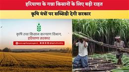 हरियाणा सरकार ने गन्ना किसानों के लिए किया सब्सिडी योजनाओं का ऐलान