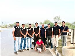 हरियाणा एसटीएफ ने पांच लाख रुपये के इनामी मोस्ट वांटेड आरोपी को किया गिरफ्तार