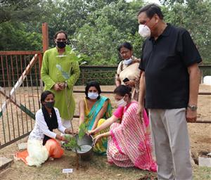 पौधों से जुड़ा है हमारा जीवन, इनका करें संरक्षण: रितु कटारिया