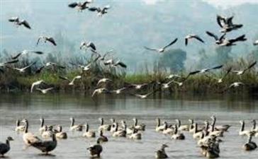 रोपड़ वैटलैंड में वातावरण प्रेमियों और सैलानियों की आमद और बढ़ेगी-चन्नी