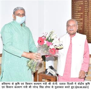हरियाणा में बनाए 486 किसान उत्पाद समूह