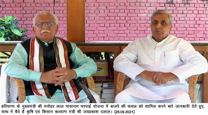  बाजरा किसानों पर मेहरबान हरियाणा सरकार