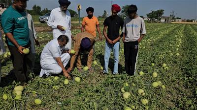 अकाली दल प्रत्याशी एन के शर्मा ने पंजग्रामी के गांवों का किया दौरा