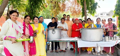 श्री त्रिशक्ति मंदिर सेक्टर -49डी के सामने लगाई छबीला 