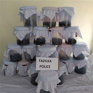 पंजाब पुलिस की ओर से दशक की सबसे बड़ी अफीम बरामदगी,  फाजिल्का से 66 किलो अफीम के साथ दो गिरफ्तार