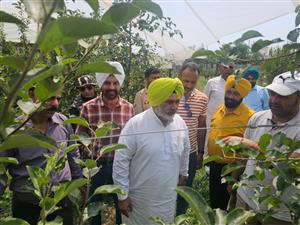 किसानों को पारंपरिक फसल चक्र से बाहर निकालने के लिए चेतन सिंह जौड़ामाजरा के नेतृत्व में प्रगतिशील किसानों द्वारा जम्मू-कश्मीर का दौरा