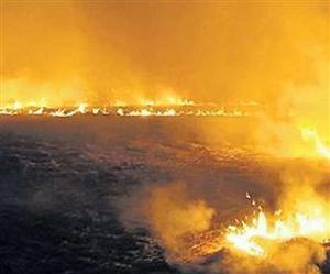 पंजाब में दिवाली पर पटाखों की आड़ में किसानों ने जलाई पराली 