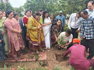 माउंट कार्मल स्कूल जीरकपुर में वन महोत्सव का आयोजन