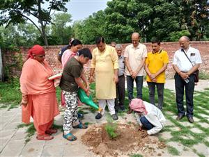 जन्मदिन के पावन अवसर पर पौधा लगाने और बचाने का दिया संदेश 