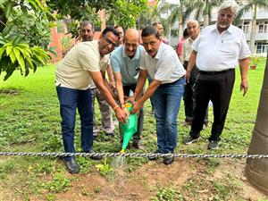 एक पेड़ देश के नाम अभियान के तहत अमर जैन हॉस्टल चंडीगढ़ में पौधरोपण