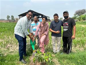 देशी गऊ संवर्धन केंद्र चिण्डियाला मोहाली के कामधेनु वाटिका में पौधरोपण का आयोजन