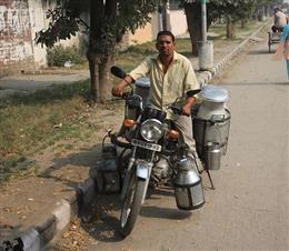 पशुओं के होंगे एक्स-रे व अल्ट्रासांउड, आप्रेशन से होगी डिलीवरी