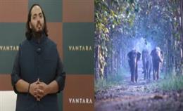वनतारा की गुहार – रोका जाए नमीबिया में जानवरों का वध