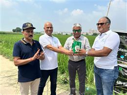 सदाफल वाटिका मोहाली में सौ फलदार पौधे लगाए 