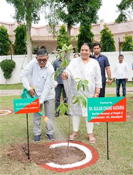 पंजाब के राज्यपाल और यूटी प्रशासक गुलाब चंद कटारिया ने ‘‘एक पेड़ माँ के नाम’’ अभियान के तहत पंजाब राजभवन में ‘रुद्राक्ष’ का पौधा लगाया