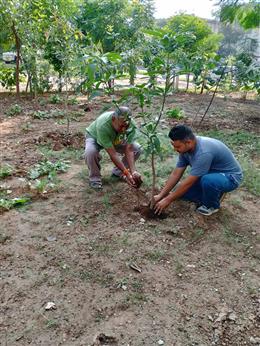 नवरात्रि से मिलता है पर्यावरण के संरक्षण और संवर्धन का संदेश : प्रभुनाथ शाही