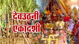 देवउठनी एकादशी के दिन करें गन्ने के ये उपाय से खत्म हो जाएगा धन का संकट