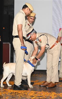 डॉग(स्वान) स्क्वायड में शामिल किए गए 27 प्रशिक्षित डॉग, बढ़कर कुल संख्या हुई 63