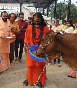  शनिधाम गौशाला में  धूमधाम से मनाया गया गोपाष्टमी का महापर्व