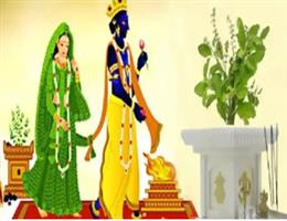 तुलसी विवाह के दिन इन कार्यों को करने से नाराज हो सकती हैं मां लक्ष्मी, जानें क्या करें और क्या न करें