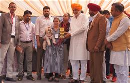रॉयल केनल क्लब पंचकूला द्वारा पशु पालन एवं डेयरी विभाग के सहयोग से करवाया मेगा डॉग शो सफलतापूर्वक संपन्न 