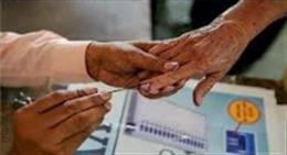 पंजाब के चार विधानसभा हलकों में मतदान संपन्न