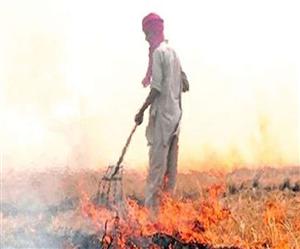   हरियाणा ने पराली समस्‍या से निपटने को केंद्र को भेजा 1600 करोड़ का प्लान
