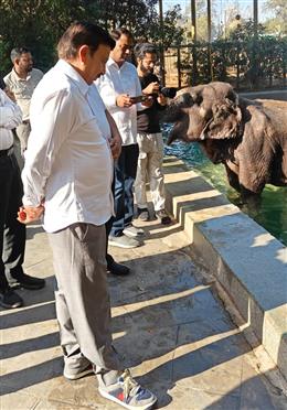 राव नरबीर सिंह ने जंगल सफारी परियोजना से जुड़े  विभागीय अधिकारियों संग जामनगर स्थित वंतारा वन्यजीव रेस्क्यू सेंटर का किया दौरा