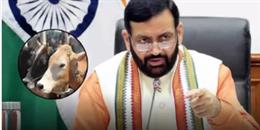 फास्ट ट्रैक अदालतों में होगी गौवंश केसों की सुनवाई 